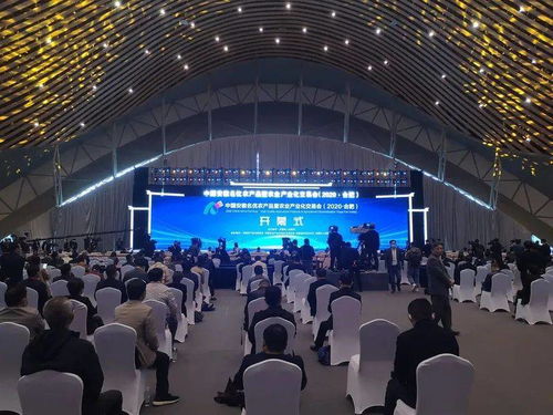 2020中國安徽名優農產品暨農業產業化交易會合肥開幕 孫正東巡視阜陽展廳潁上展臺